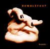 Bumblefoot "Hands" CD